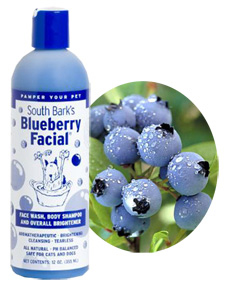 blueberry dog shampoo