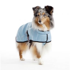 Hurtta CoolingCoat on dog