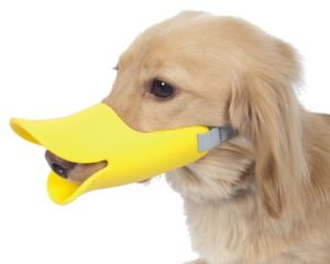 Yellow Quack Muzzle