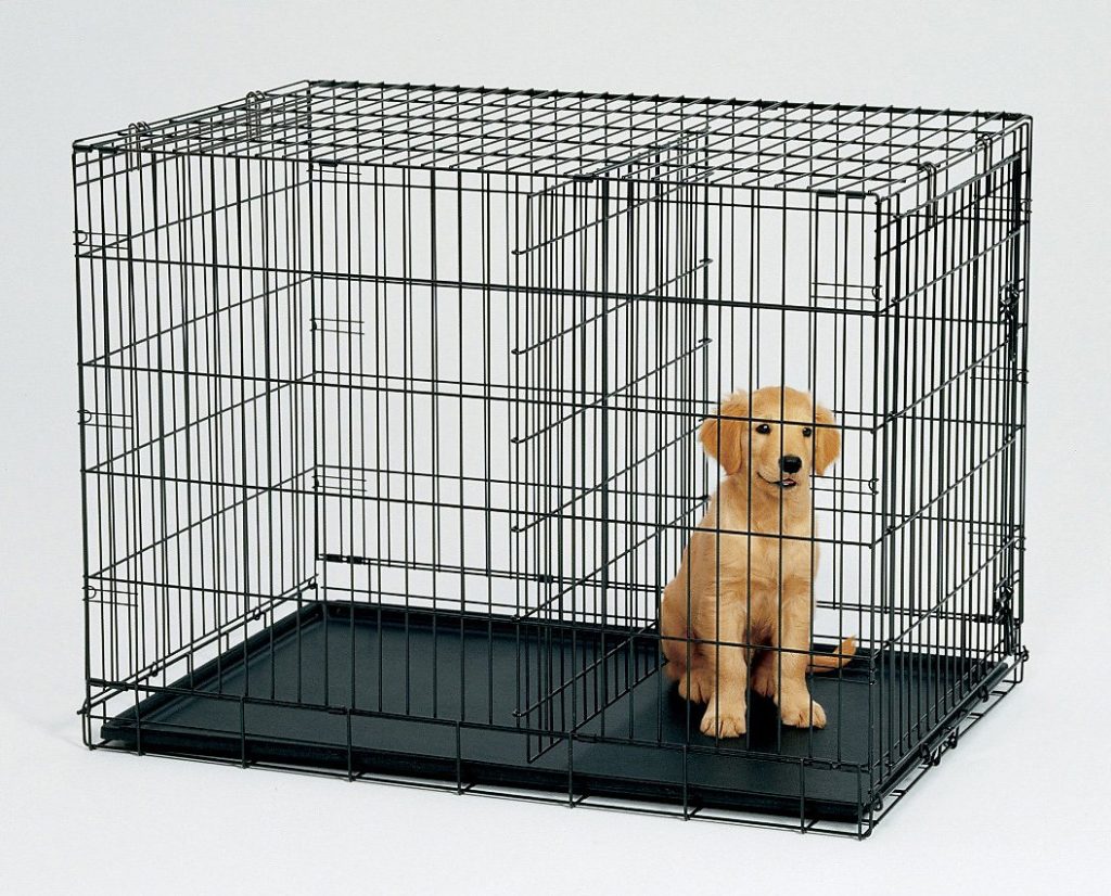 dog-crate with divider