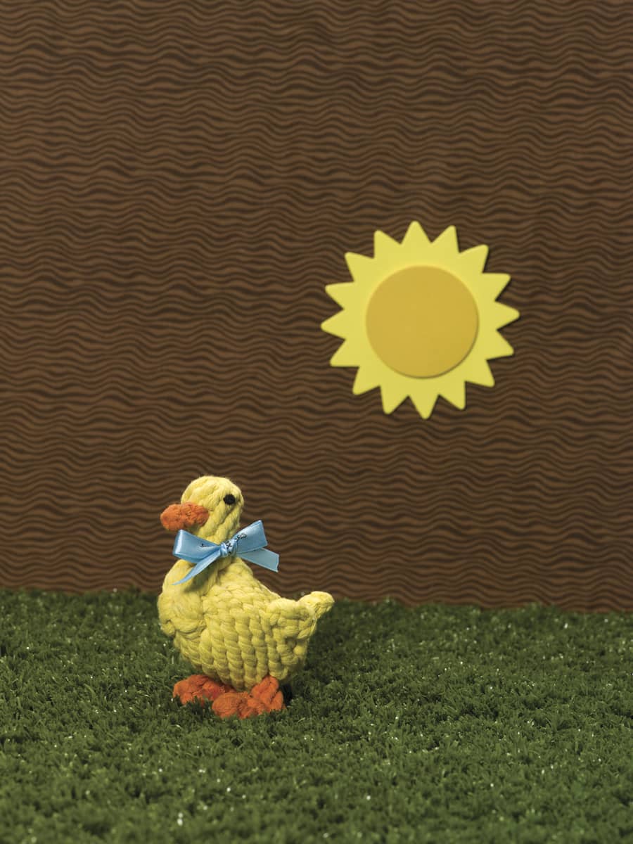 Jax & Bones Rope Toy Daisy the Duck - Image 2