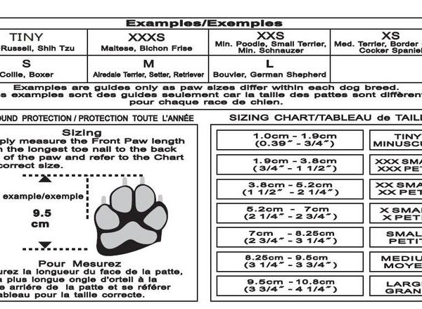 Dog shoe sizes best sale