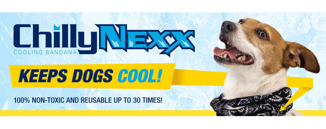 Chilly-Nexx-banner1060