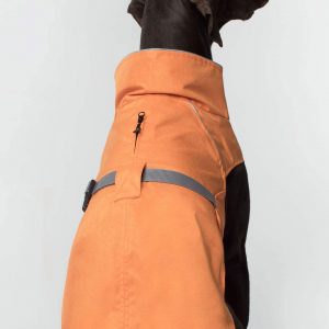 canada-pooch-orange-expedition-dog-coat-on-dog-back-view-color_97