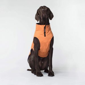 canada-pooch-orange-expedition-dog-coat-on-dog-front-view-color_97