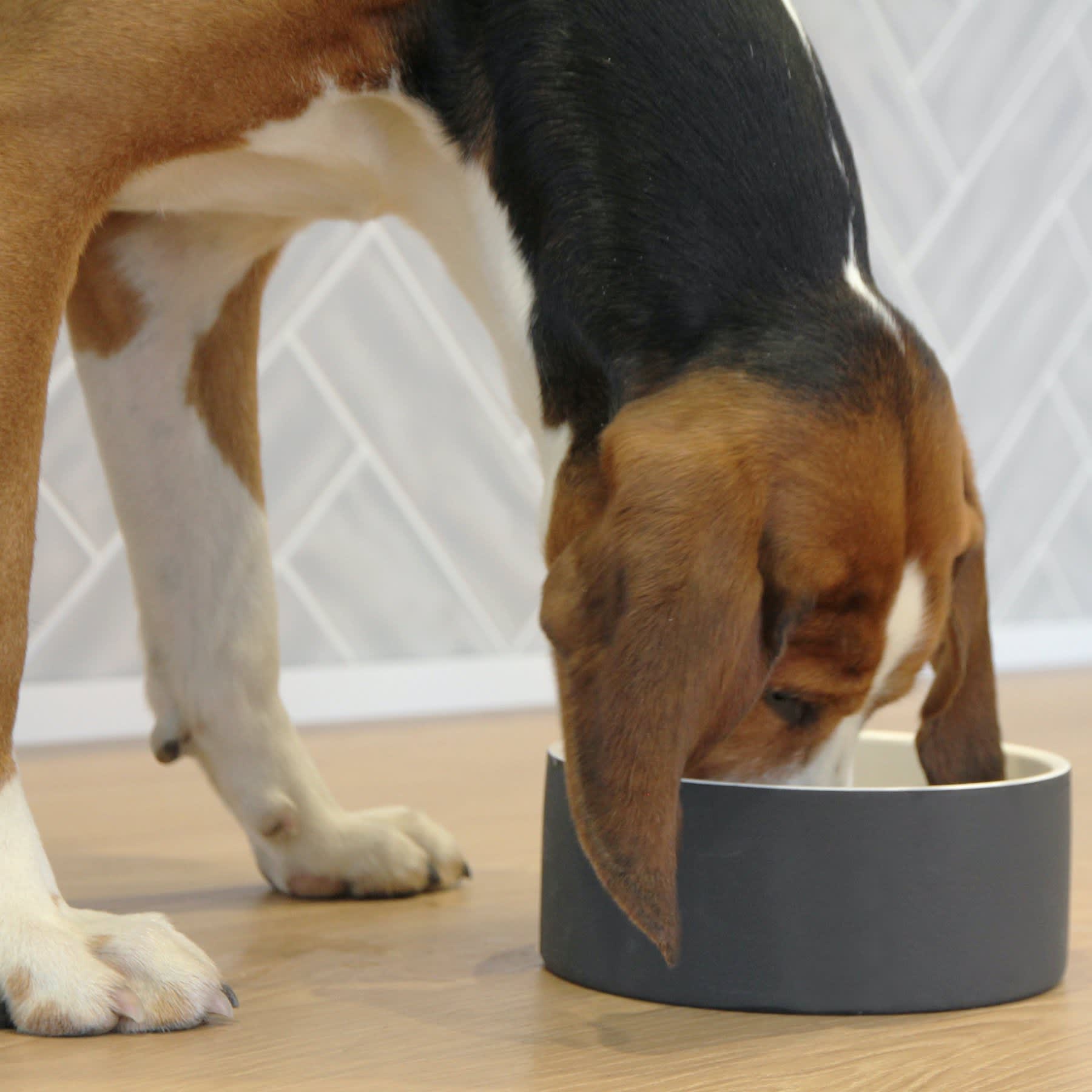 PAIKKA Naturally Cooling Bowl Black - Image 2