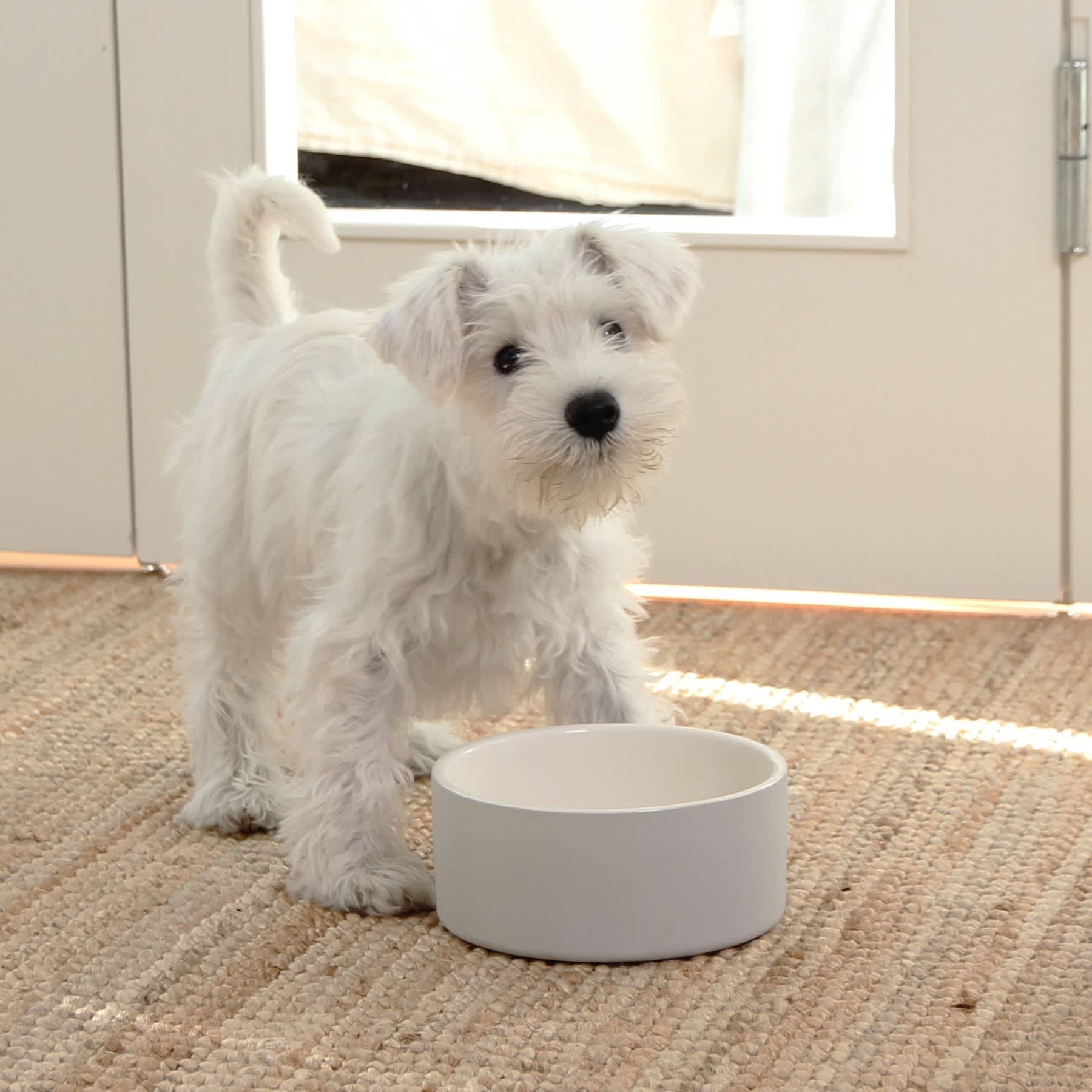 PAIKKA Naturally Cooling Bowl Concrete - Image 2