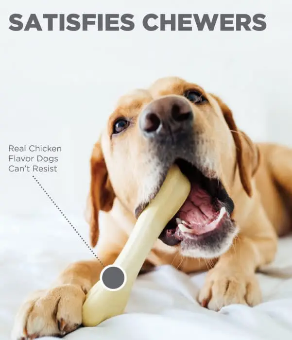 Petstages Chew Stick Chick a Bone » Dogfather and Co. | Dog