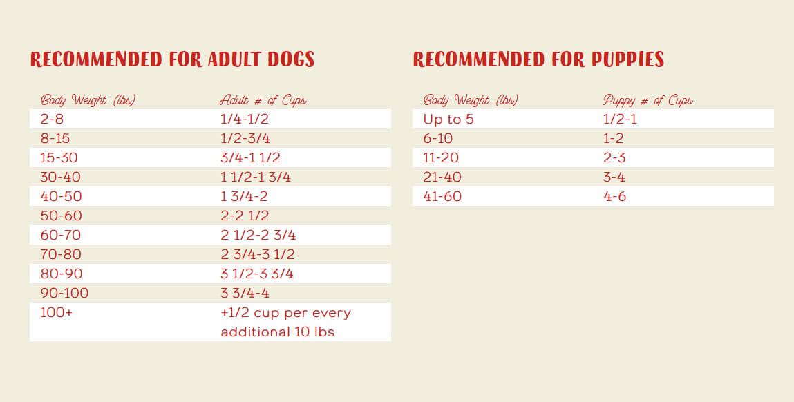 Stella & Chewy's Wholesome Grains Raw Coated Kibble Cage-Free Duck - Image 2