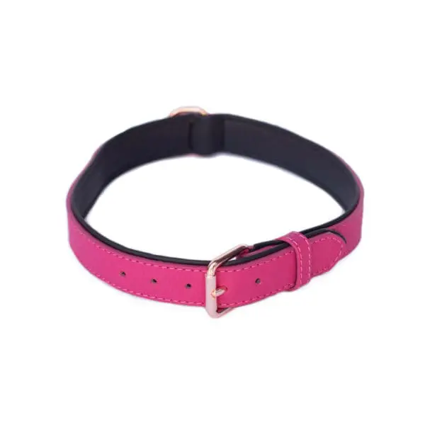 Magenta cheap dog collar