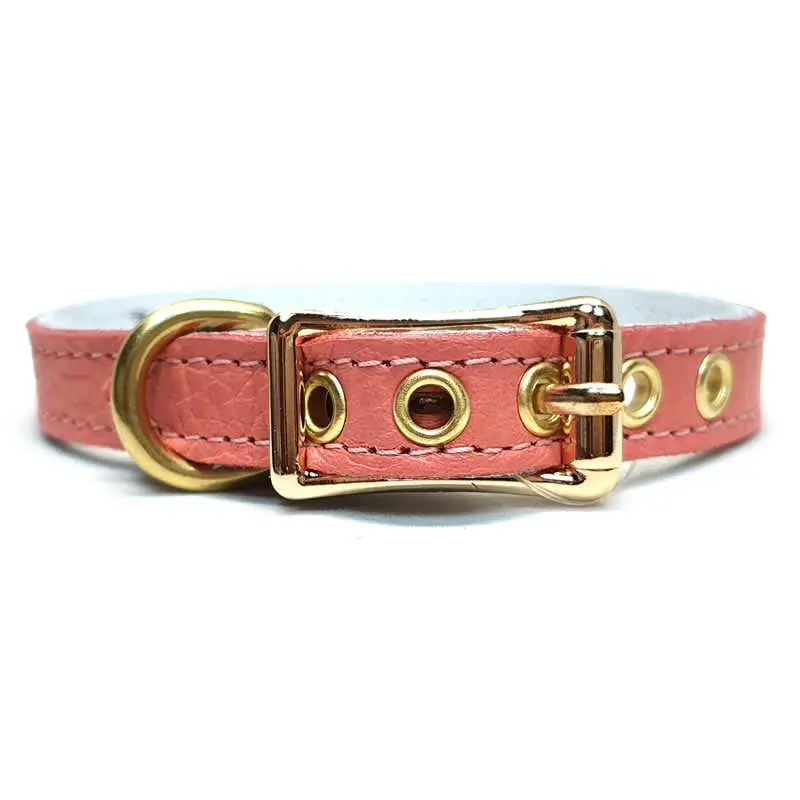 Buddy Belts ID Collar Elite Coral Dream Dogfather and Co. Dog Grooming and Retail in Toronto