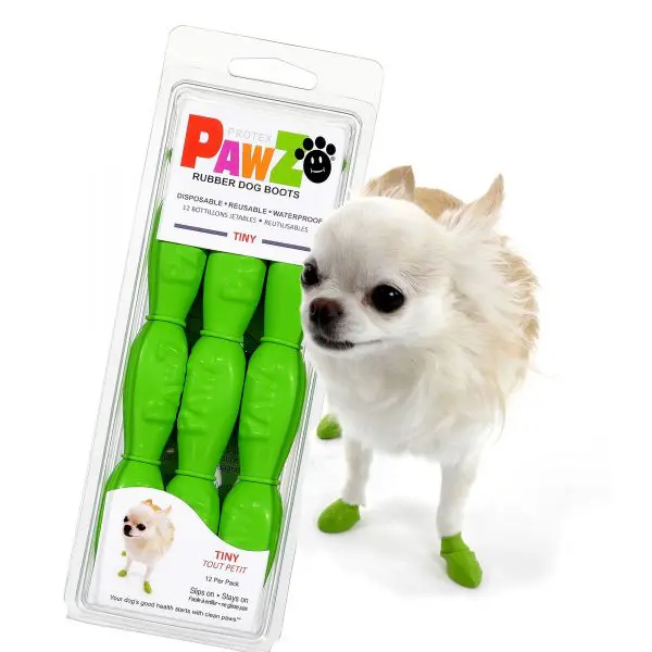 Pawz Rubber Dog Boots Tiny Dogfather and Co. Dog Grooming and Retail in Toronto