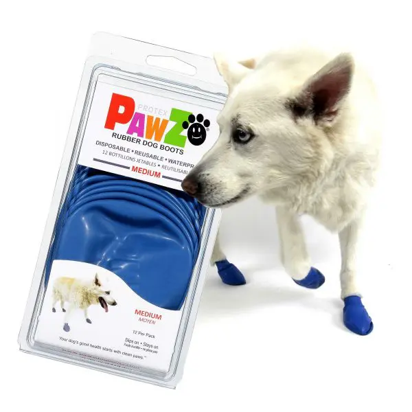 Pawz Rubber Dog Boots Medium Dogfather and Co. Dog Grooming and Retail in Toronto