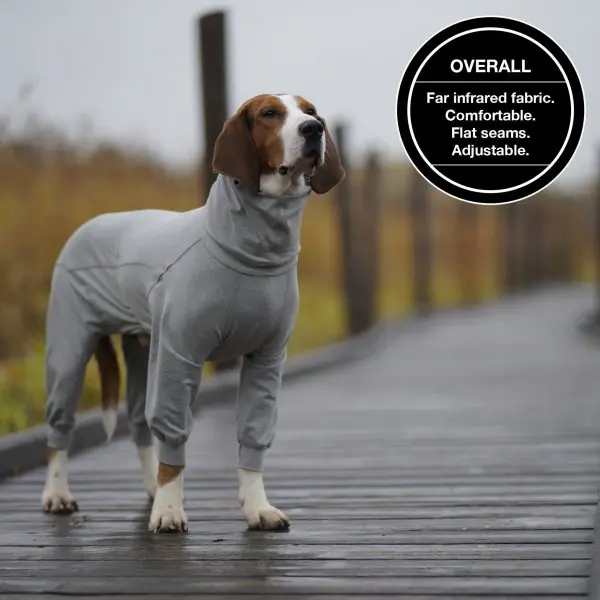 PAIKKA Recovery Shirt Grey » Dogfather and Co.