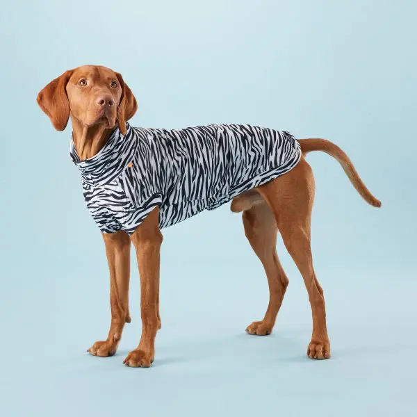 Dog hotsell uv shirt