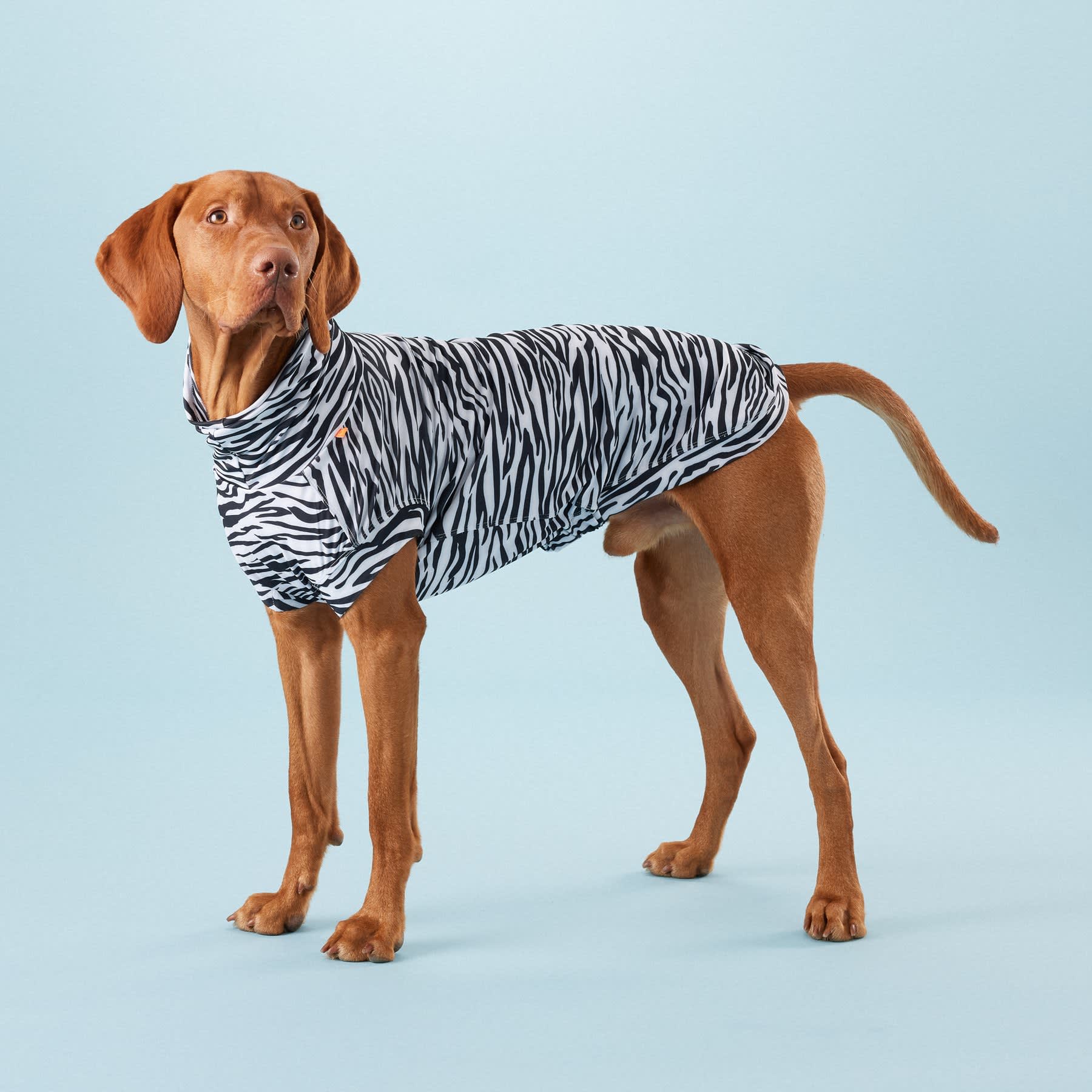 PAIKKA UV & Bug Shirt Zebra » Dogfather and Co. | Dog Grooming and ...