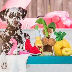 PLAY Tropical Paradise Toy Set