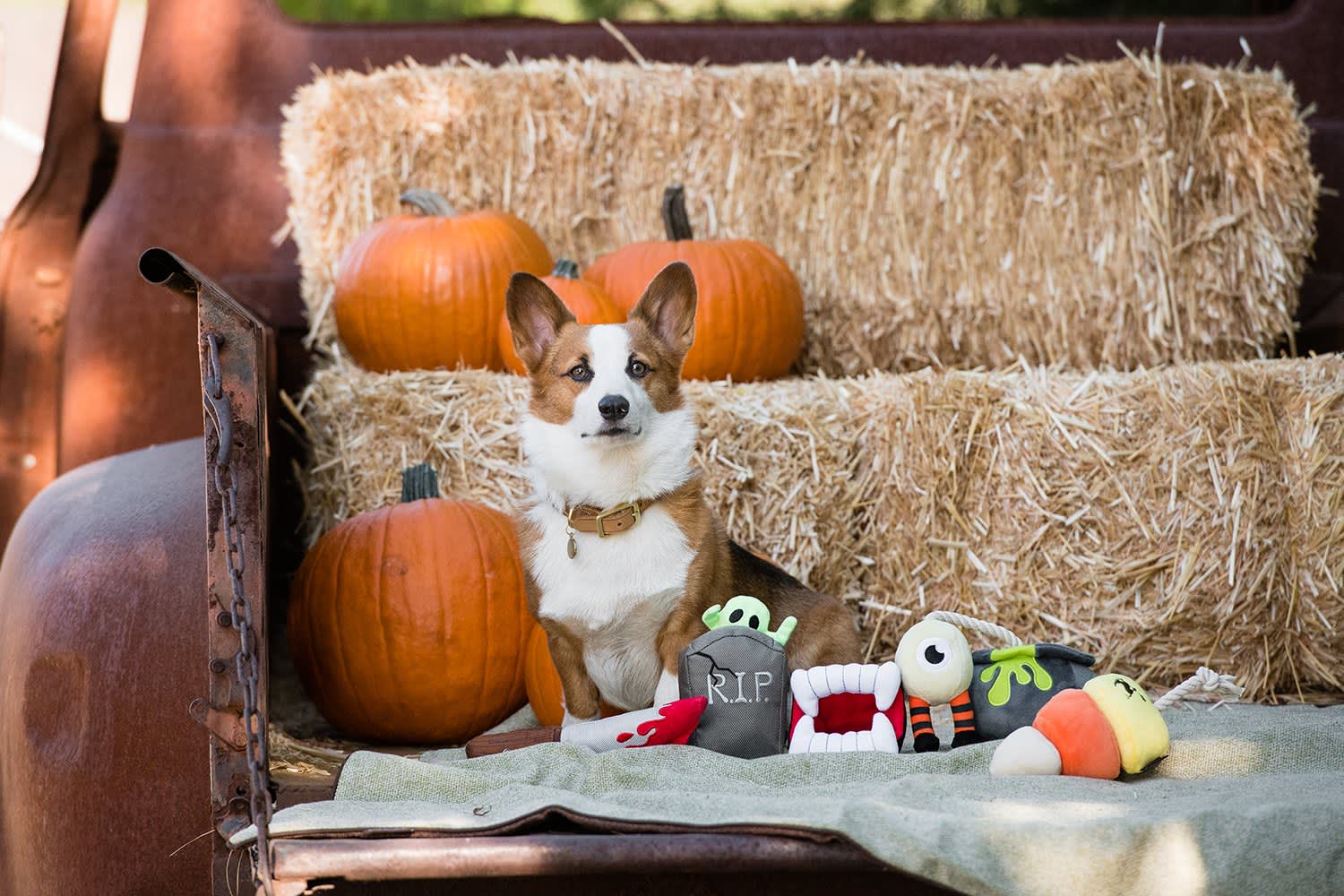 PLAY Halloween Howling Haunts Toy Set - Image 2