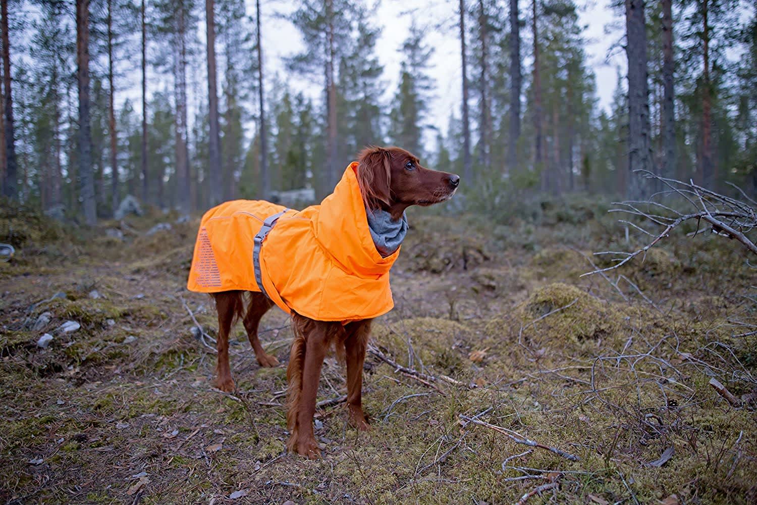 Hurtta Extreme Warmer Orange - Image 2