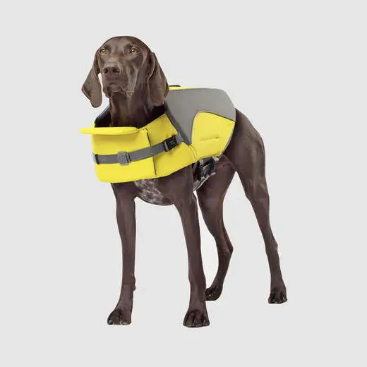 Canada Pooch Life Vest Wave Rider Yellow » Dogfather and Co. | Dog