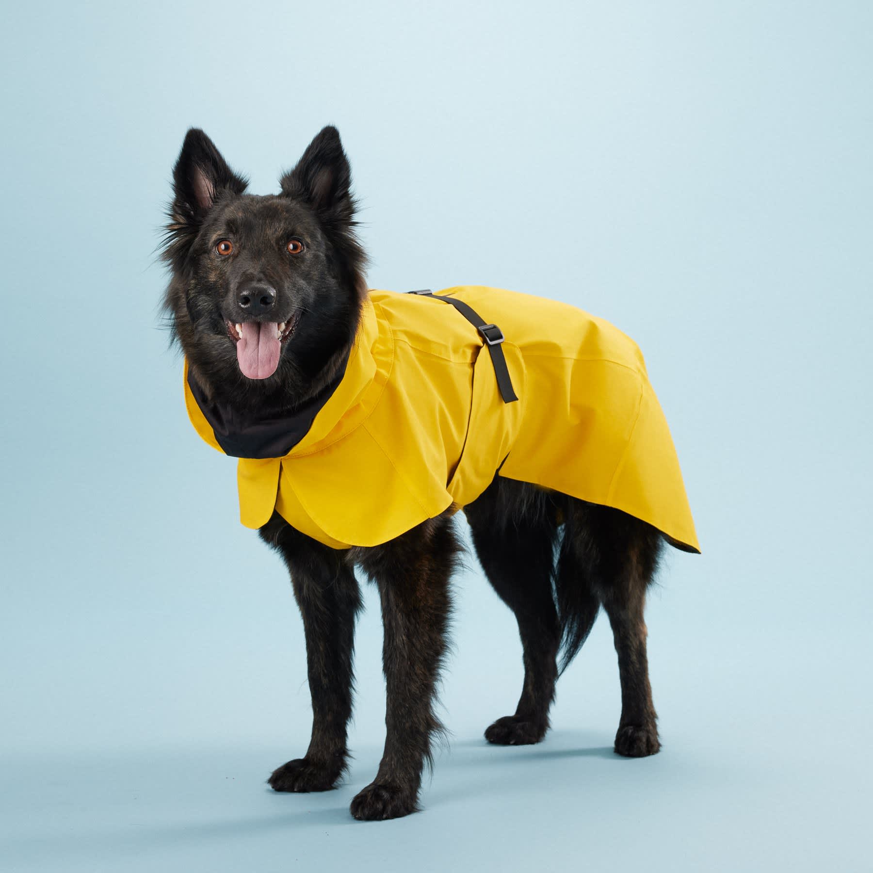 PAIKKA Visibility Raincoat Original Yellow - Image 2