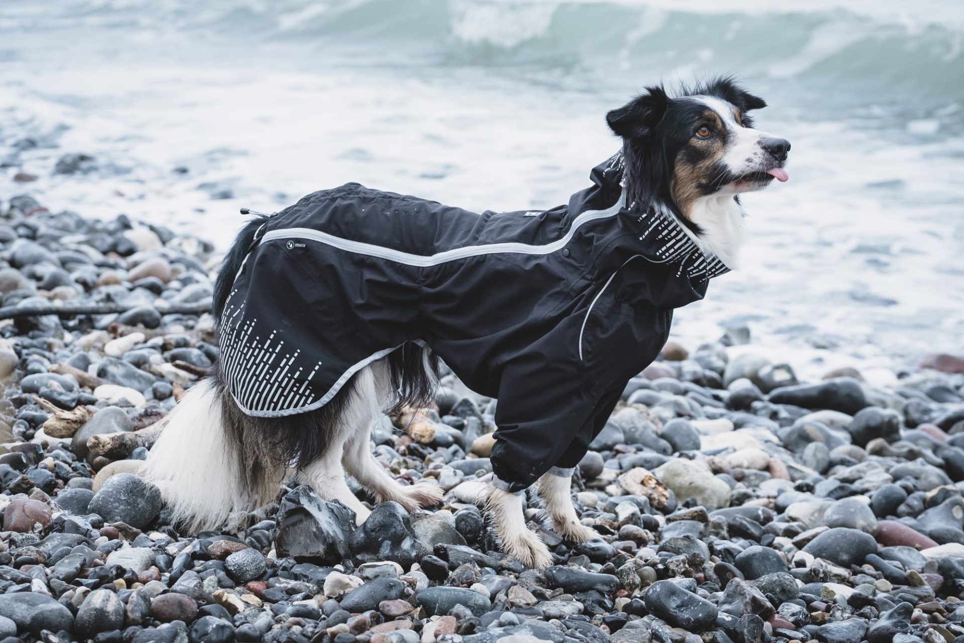 Hurtta Rain Blocker Raven - Image 5