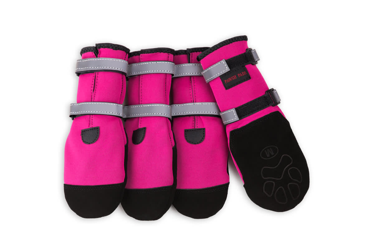 Pawsh Pads - Image 4