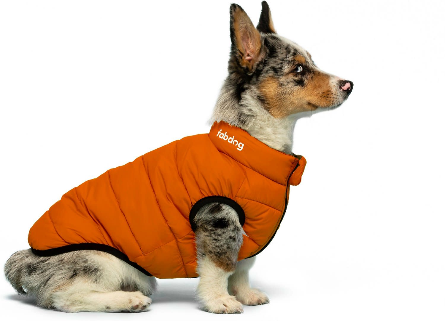 Fabdog Reversible Pack-n-Go Coat Burnt Orange / Olive - Image 3