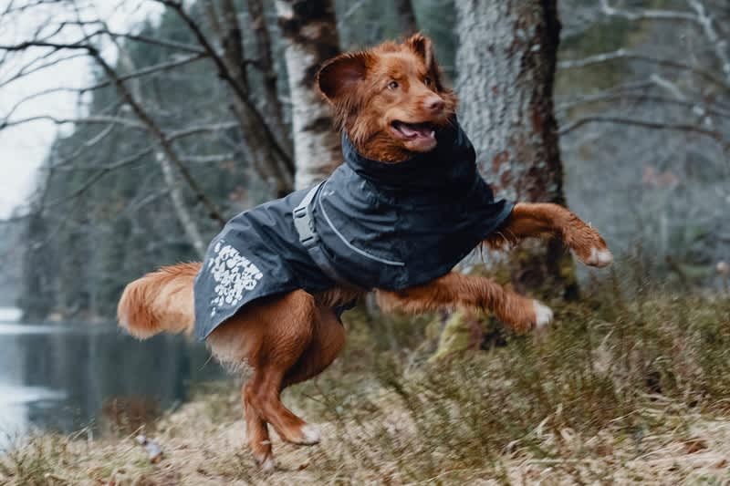 Hurtta Monsoon Coat Blackberry » Dogfather and Co. Dog Grooming and