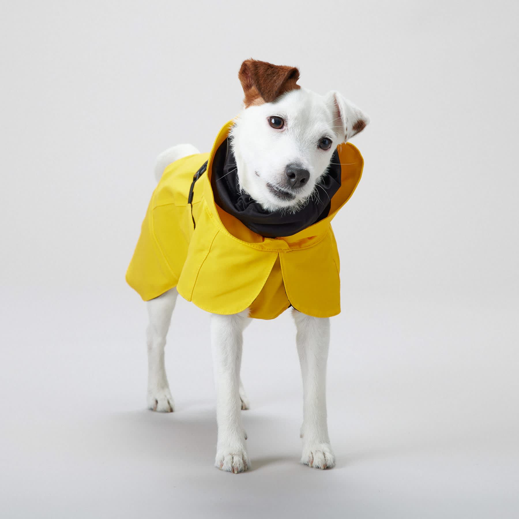 PAIKKA Visibility Raincoat Original Yellow - Image 3