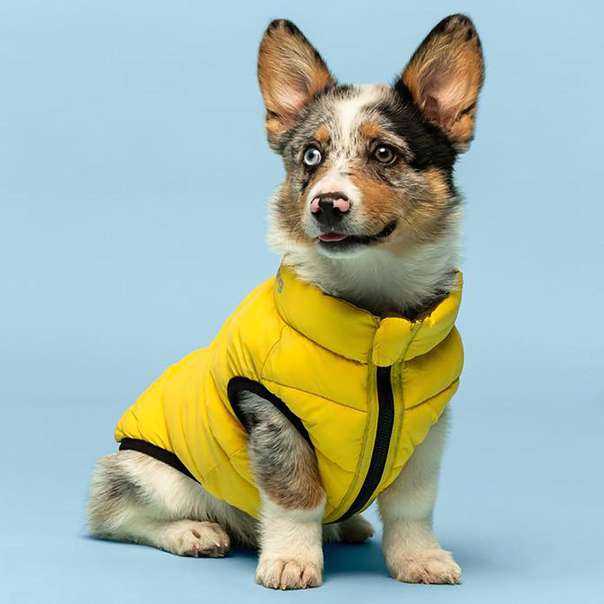 Fabdog Reversible Pack-n-Go Coat Yellow / Slate - Image 3