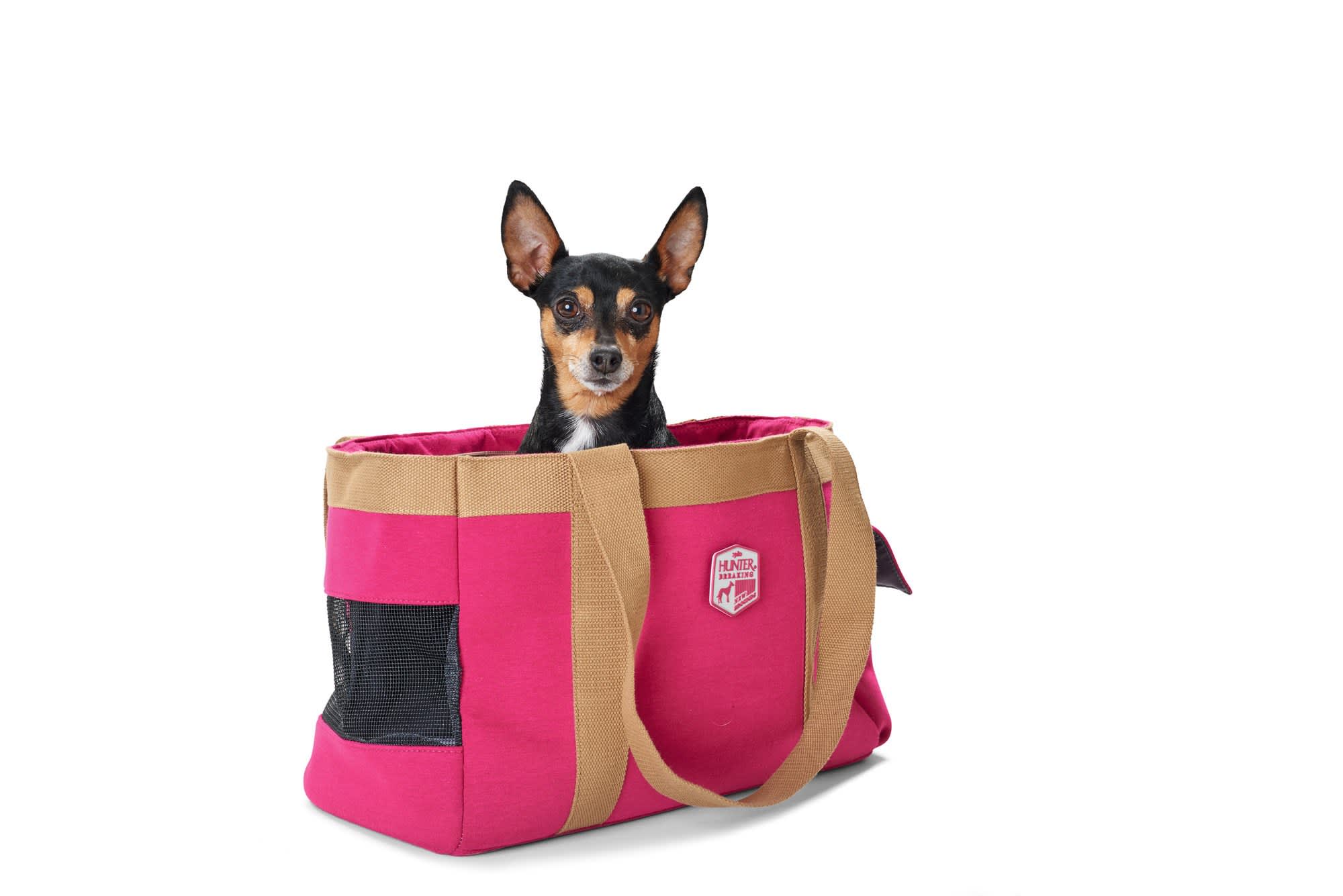 Hunter Carrier Perth » Dogfather and Co. Dog Grooming and Retail in