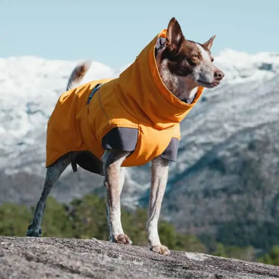 【Hurtta】Expedition Parka 40 Hurtta Expedition Parka Buckthorn » Dogfather and Co. | Dog