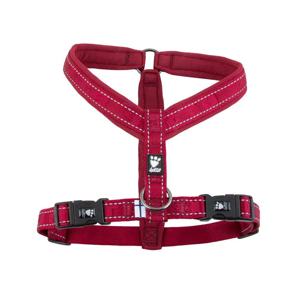 Hurtta casual 2024 y harness