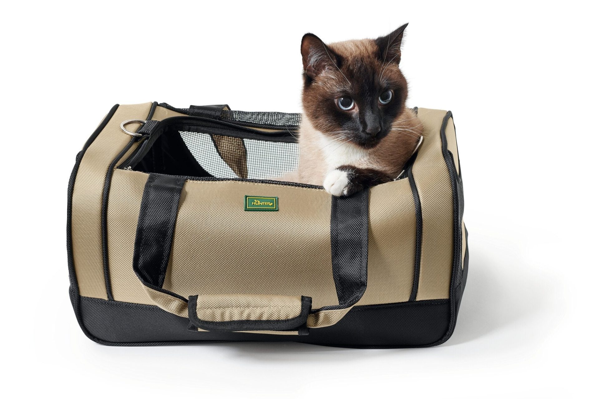 Hunter Carrier Portland » Dogfather and Co. Dog Grooming and Retail