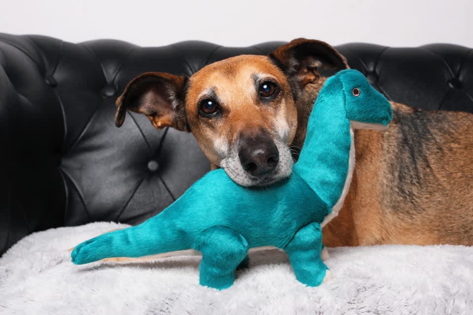 Fluff & Tuff Toy Ross Brachiosaurus - Image 2