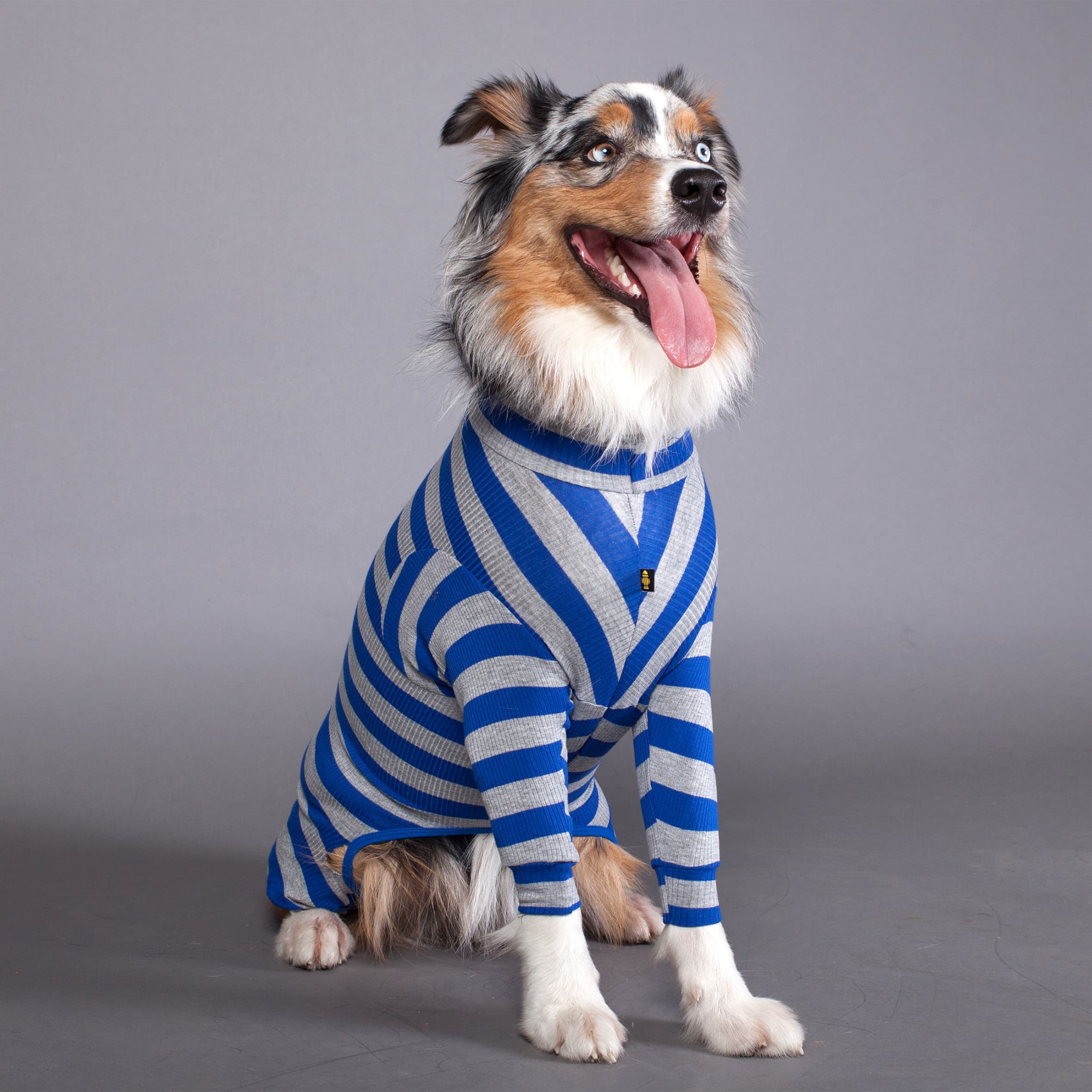 Yellow Hydrant PJs Stripe Blue/Grey