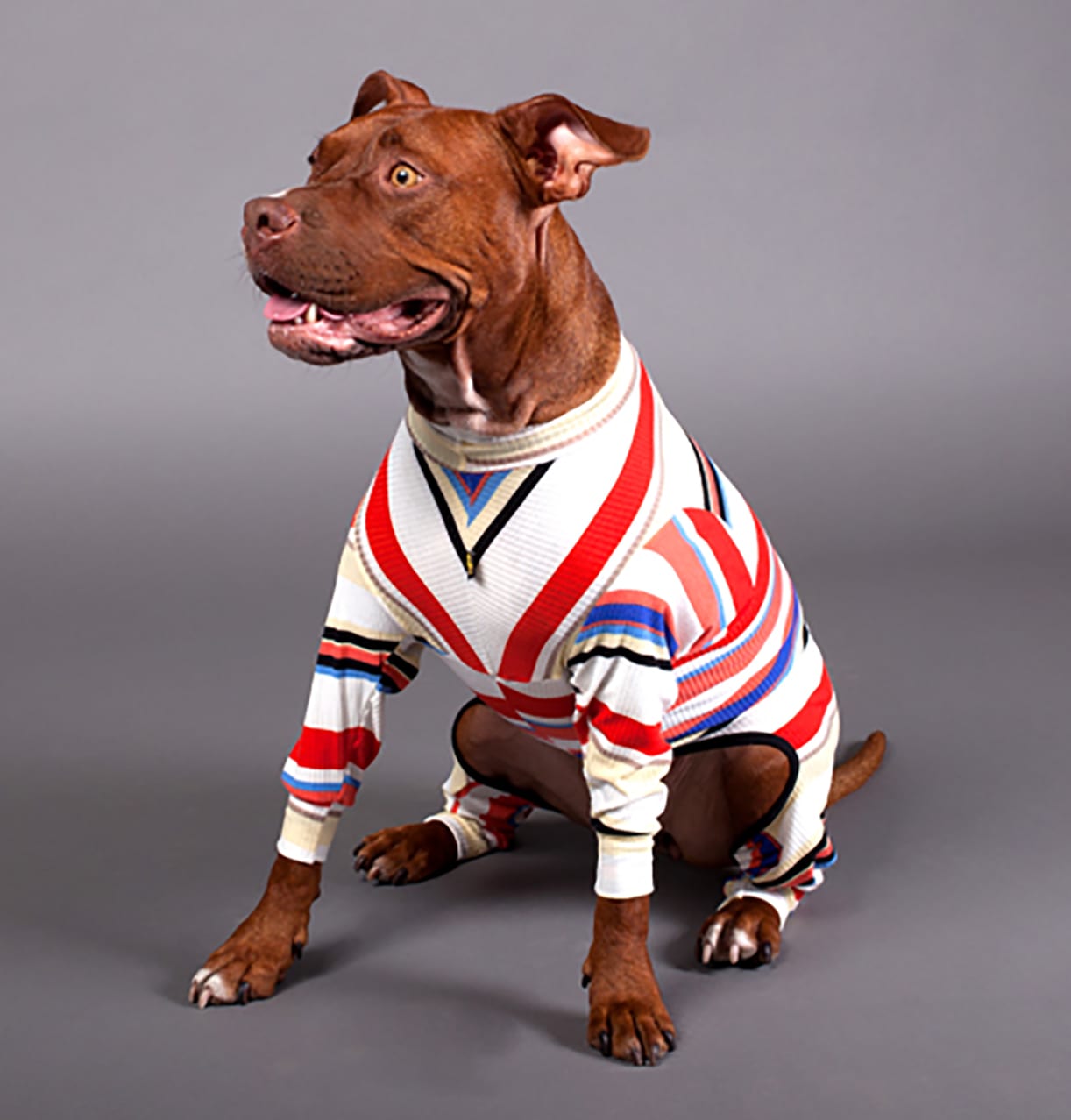 Yellow Hydrant PJs Stripe Red Multi