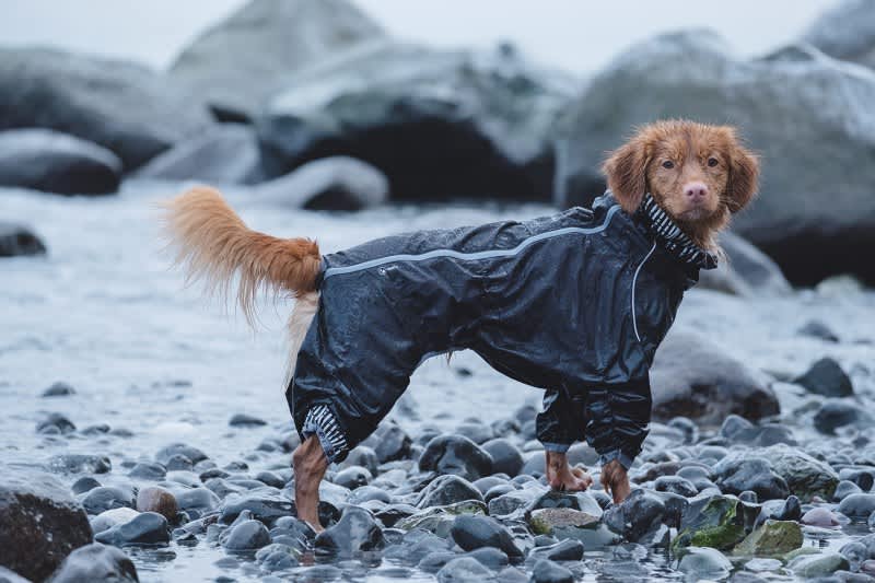 Hurtta Downpour Suit Raven - Image 2