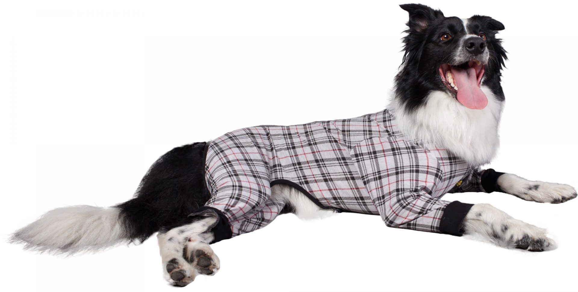 Yellow Hydrant PJs Plaid Grey/Red - Image 3