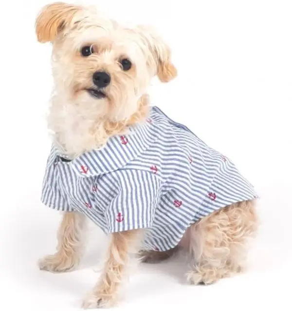 Rover White Cotton Club Dog Shirt | PupRWear Dog Boutique