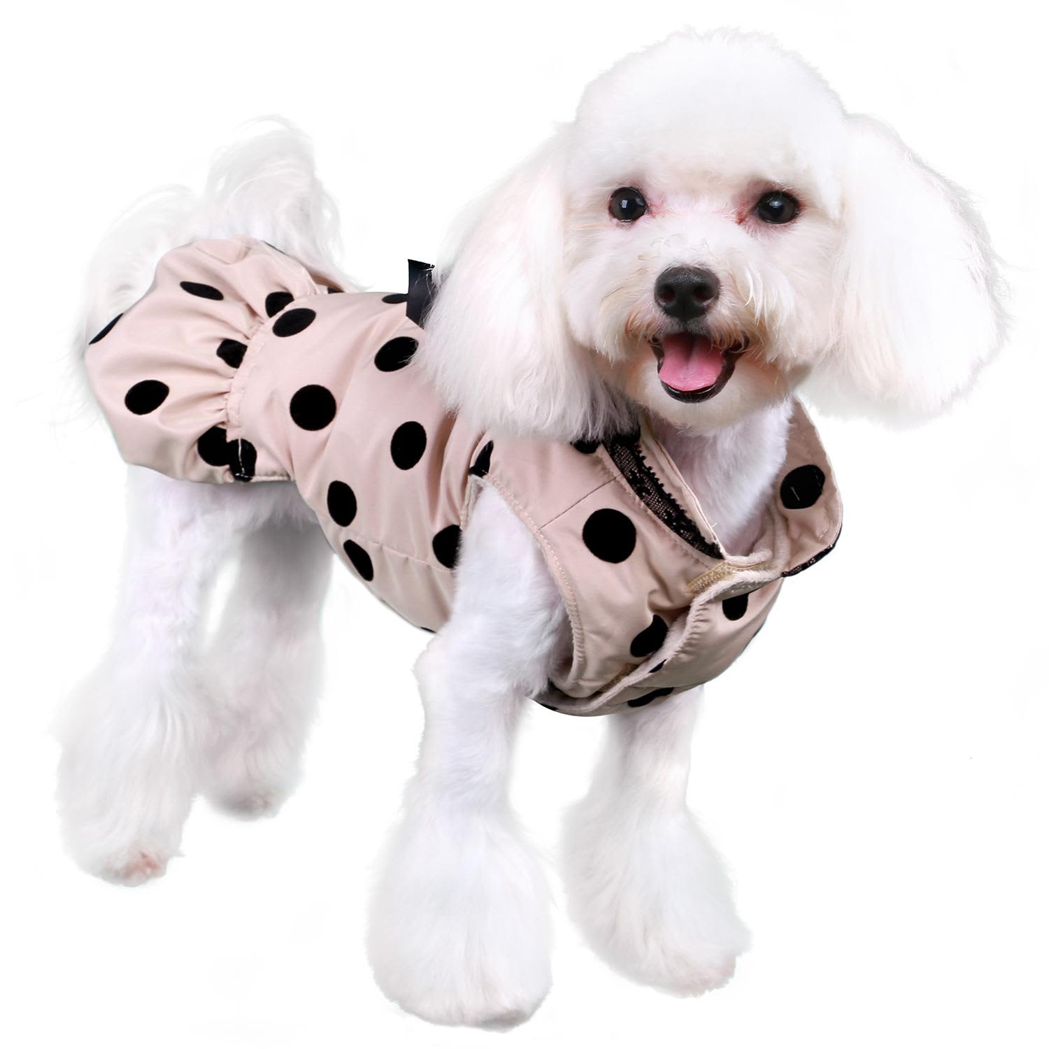 Pooch Outfitters Coat Annie City Beige - Image 2