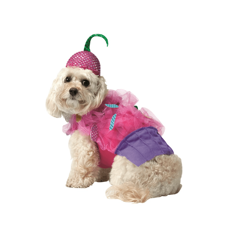 Rasta Imposta Costume Cupcake
