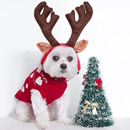 Dog christmas bell top collar