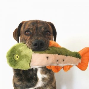 Fluff & Tuff Toy Ruby Rainbow Trout