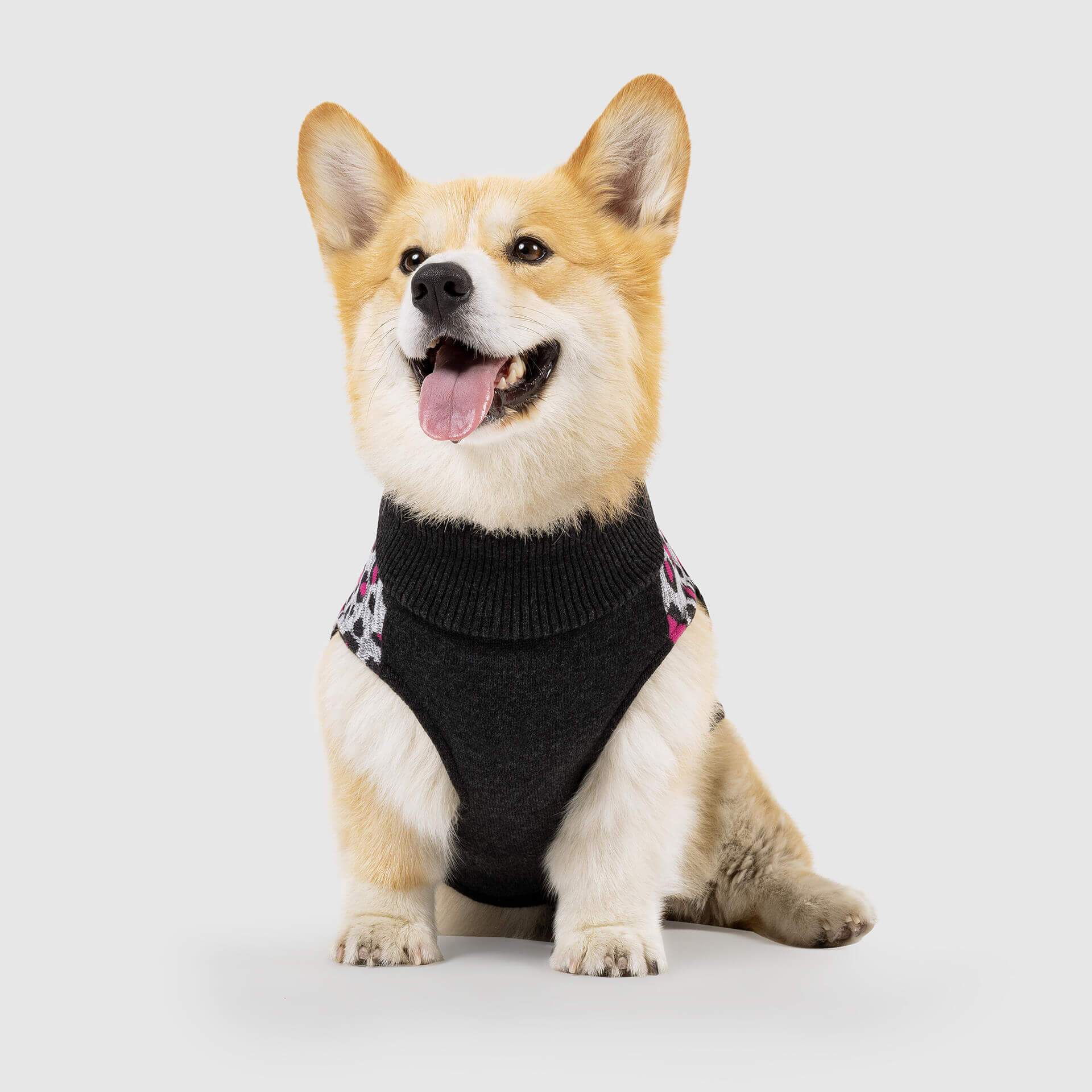 Canada Pooch Northern Knit 2.0 Leopard » Dogfather and Co. Dog