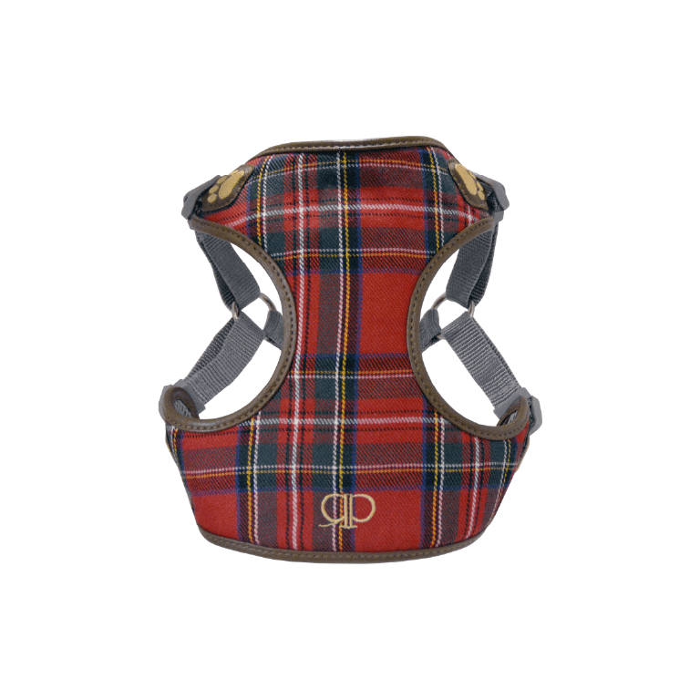 Pretty Paw Harness Scotland Auburn » Dogfather and Co. | Dog Grooming ...