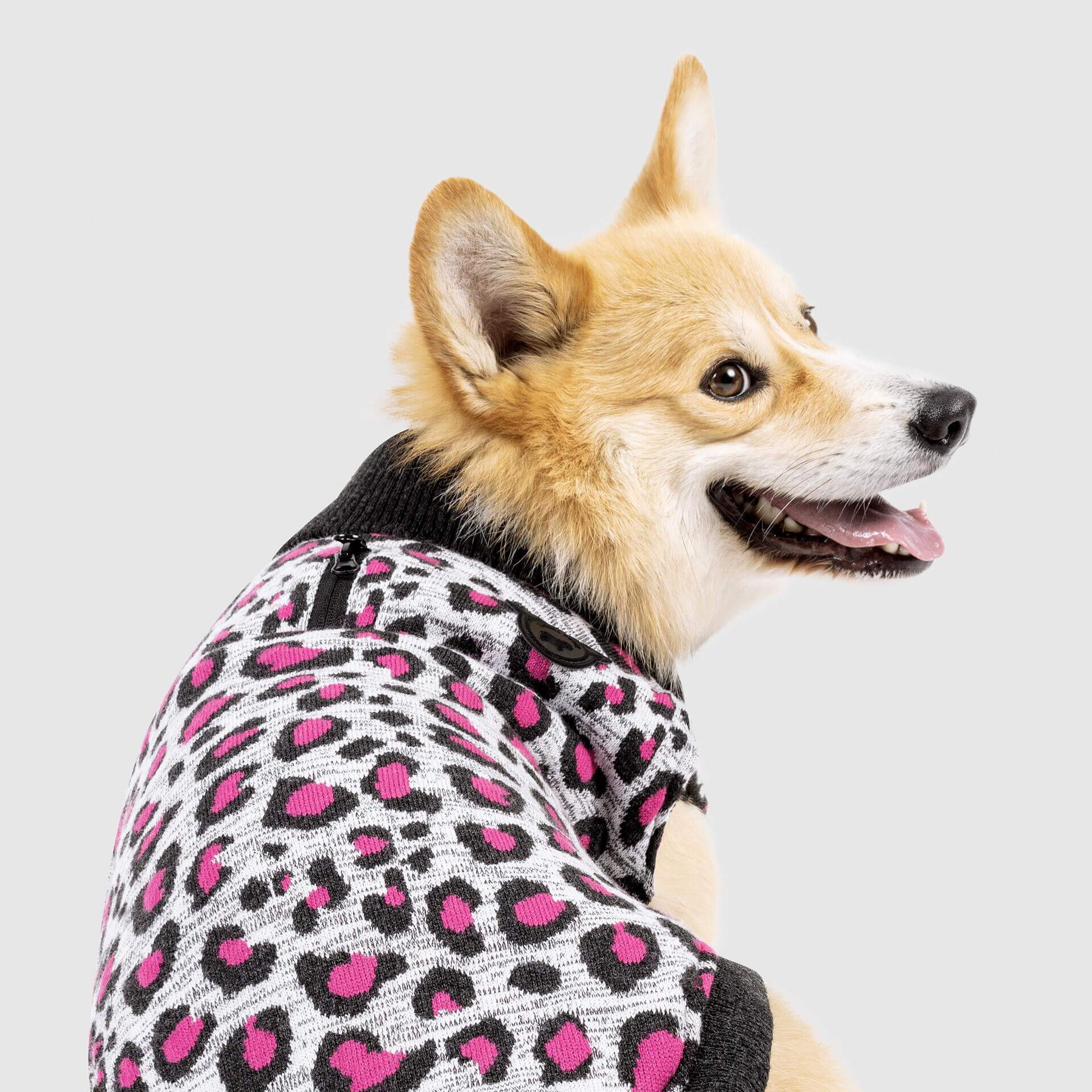 Canada Pooch Northern Knit 2.0 Leopard - Image 3