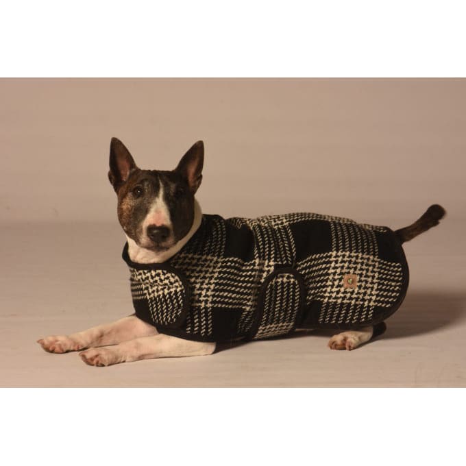 Chilly Dog Blanket Dog Coat - Image 3