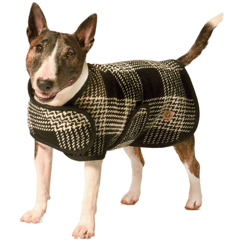 Chilly Dog Blanket Dog Coat » Dogfather and Co. Dog Grooming and